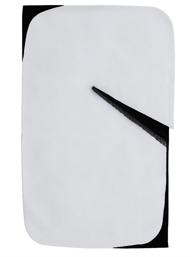 Lama LA01