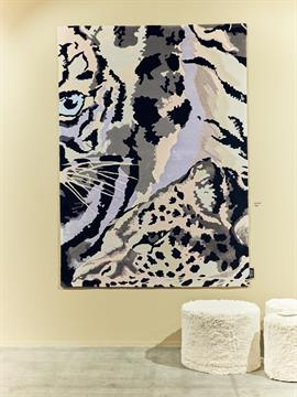 Safari